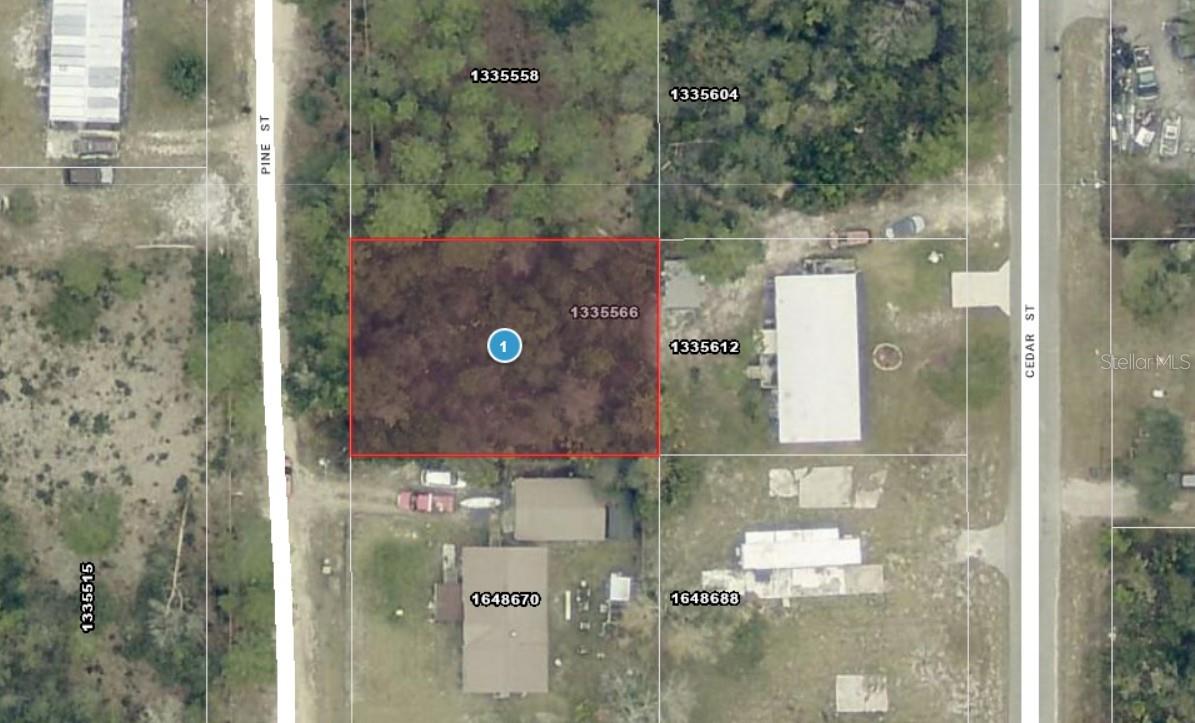 Details for 14-17-28-0200-009-01400 Pine Street, PAISLEY, FL 32767