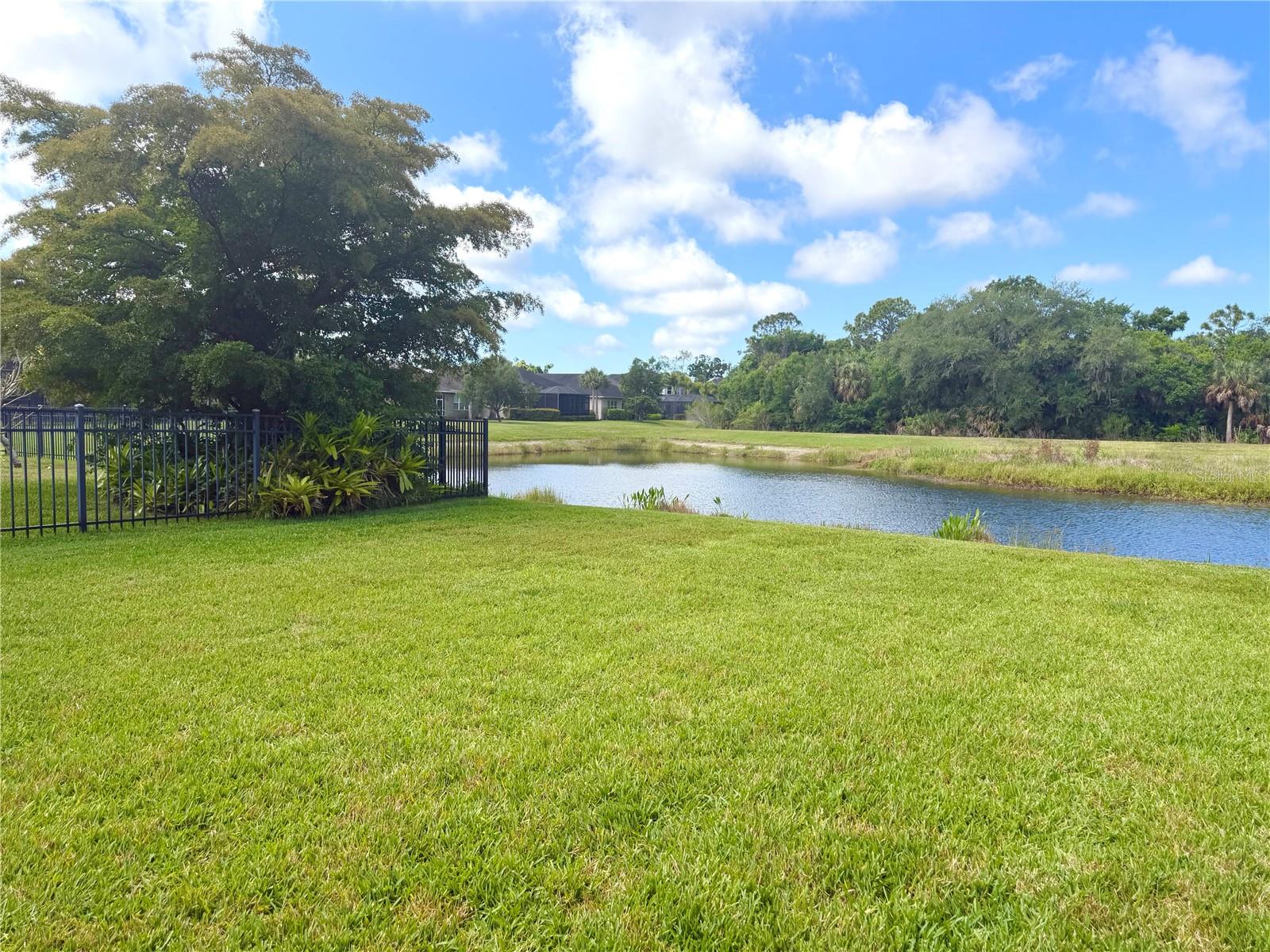 Image 41 of 53 For 7229 Monarda Drive