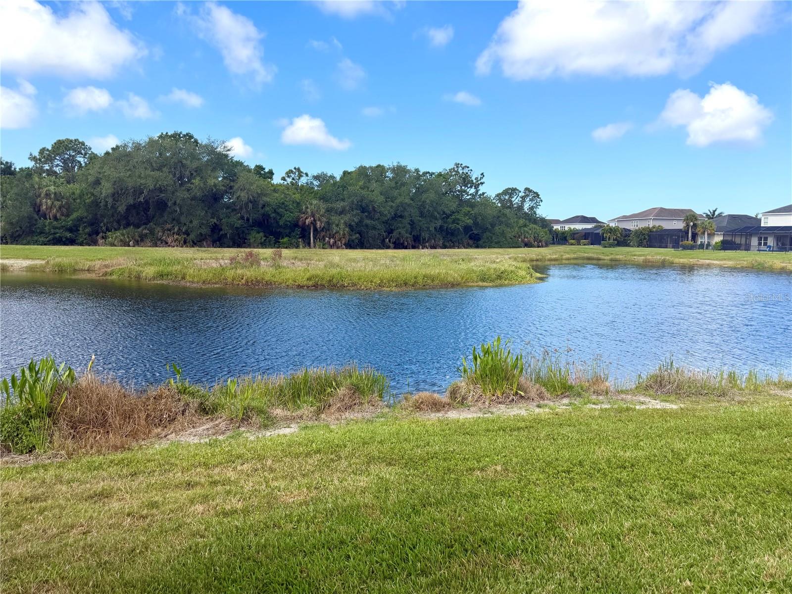 Image 43 of 53 For 7229 Monarda Drive