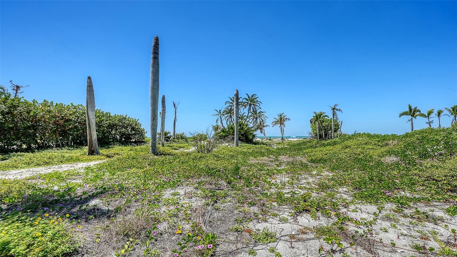 Image 5 of 17 For 6441 Gulfside Road
