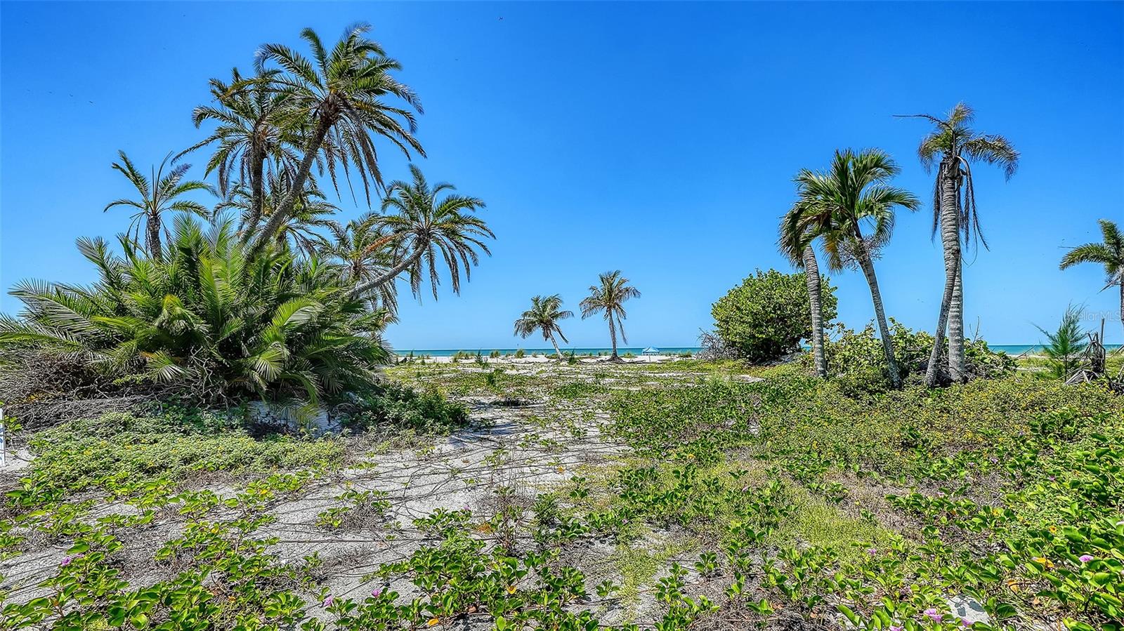 Image 6 of 17 For 6441 Gulfside Road