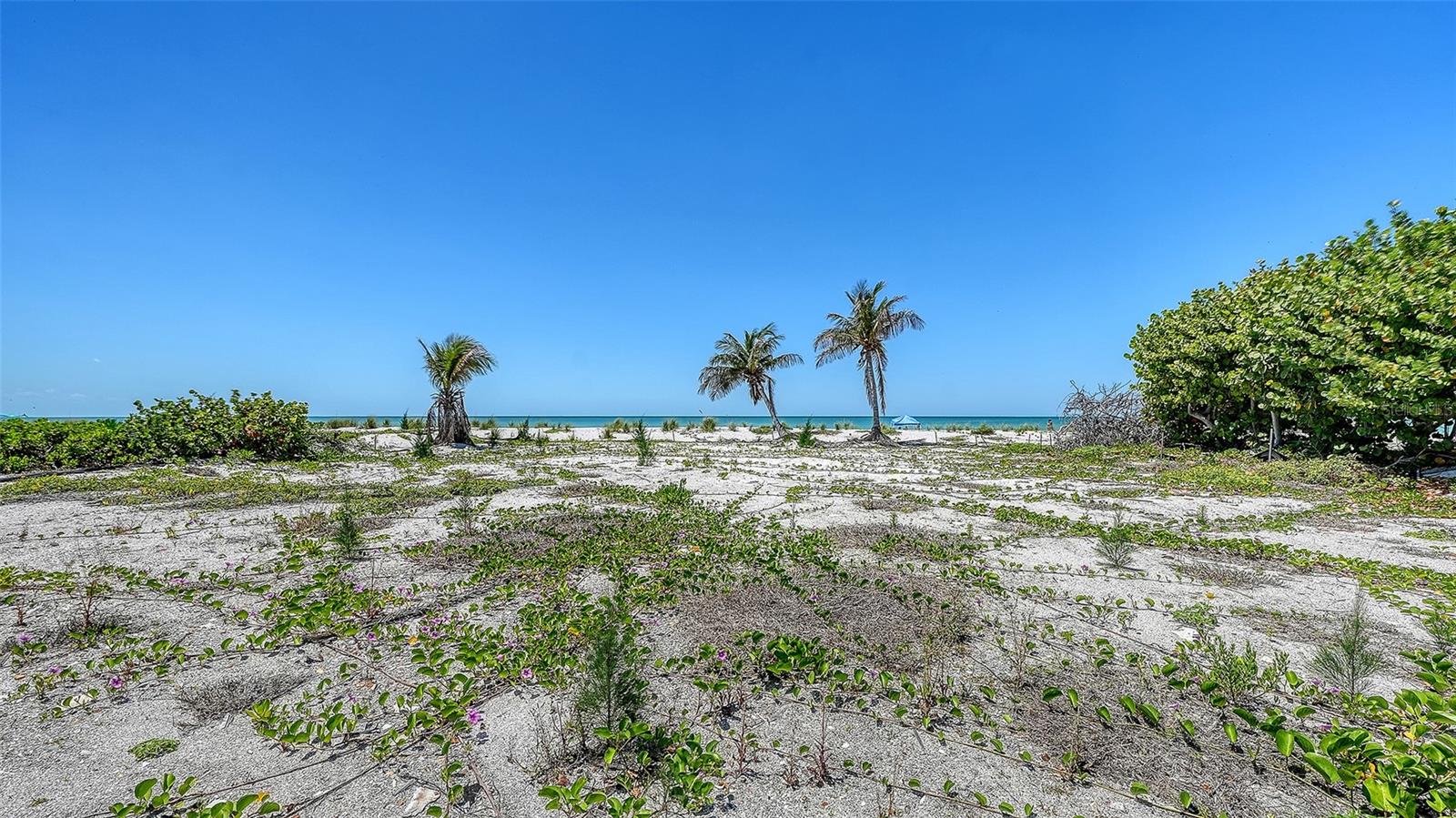 Image 8 of 17 For 6441 Gulfside Road
