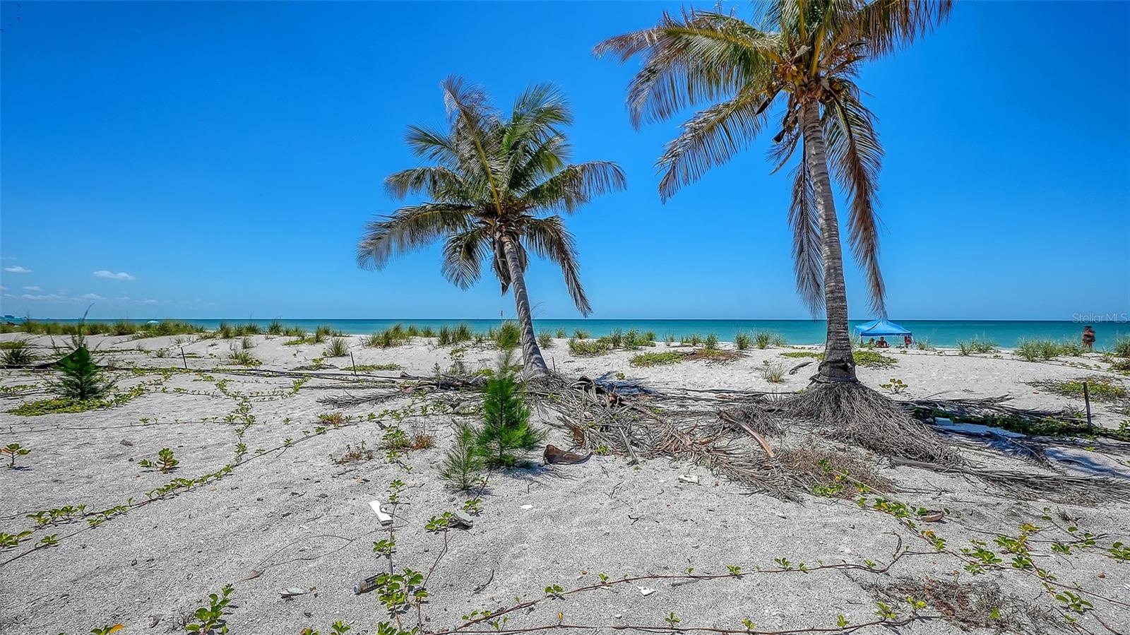 Image 9 of 17 For 6441 Gulfside Road