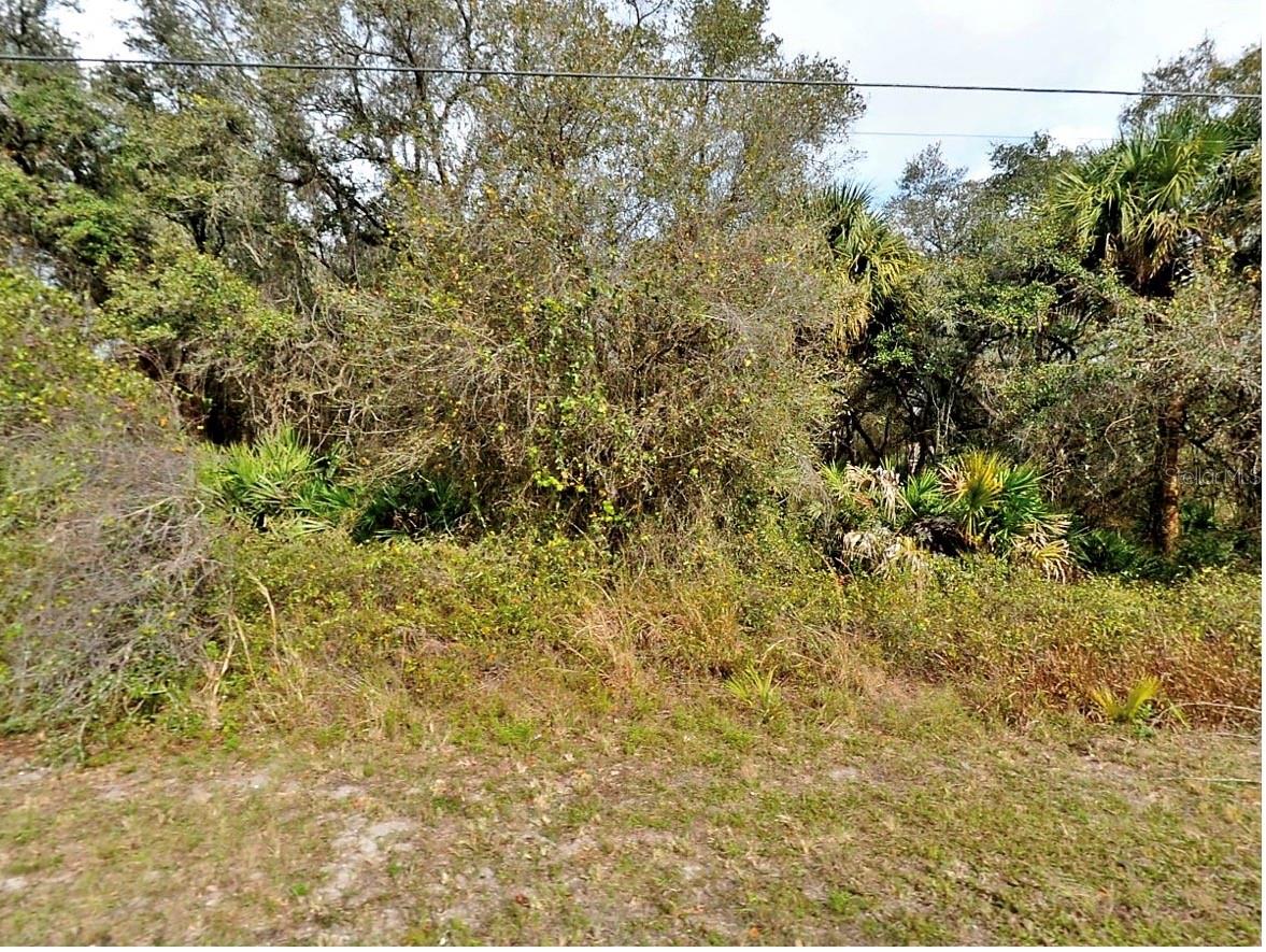 Listing Details for  Fling Ave.  , NORTH PORT, FL 34291