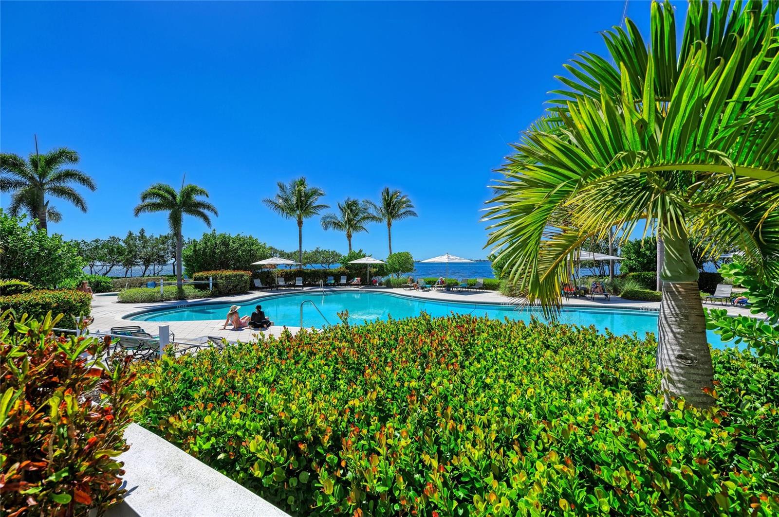 Image 66 of 95 For 392 Aruba Circle 102