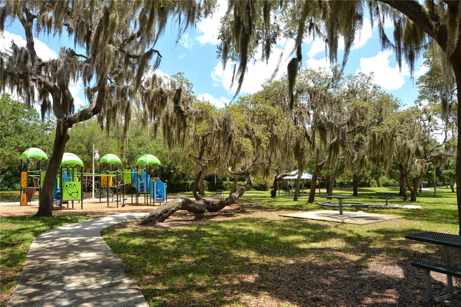 Image 33 of 37 For 1709 Tamiami Trail 221