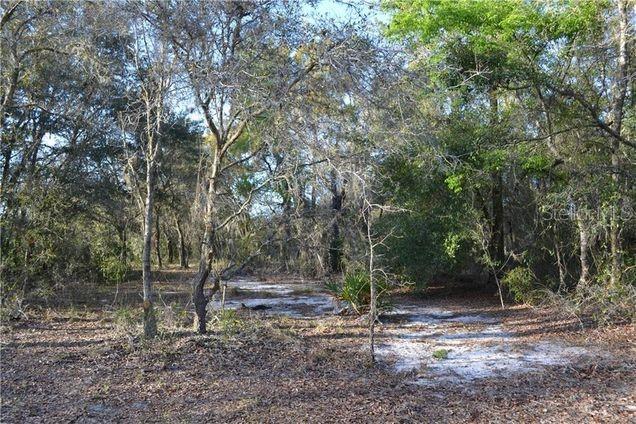 Details for  Grandville  , HUDSON, FL 34669