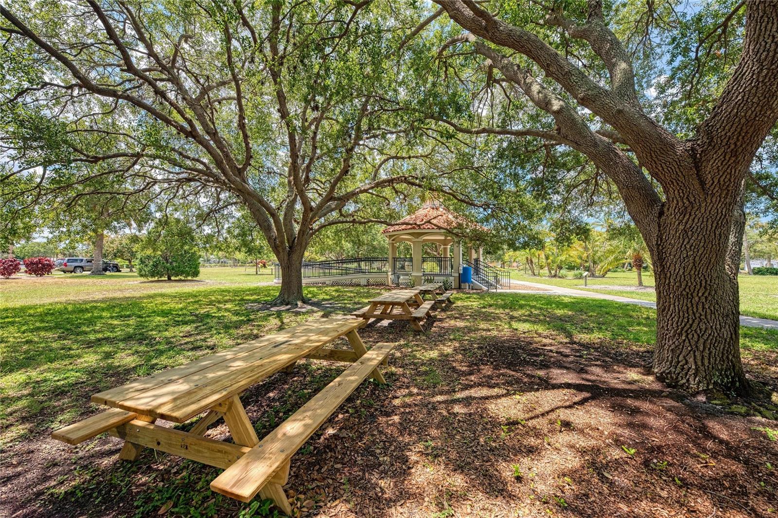 Image 47 of 55 For 1211 Cypress Avenue