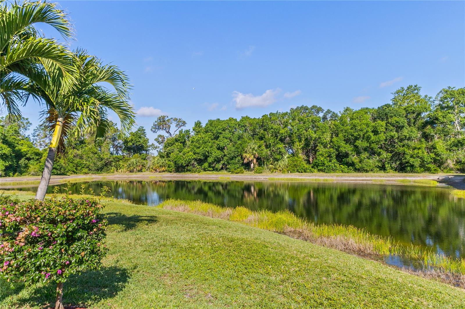 Image 44 of 57 For 10921 Bluestem Circle