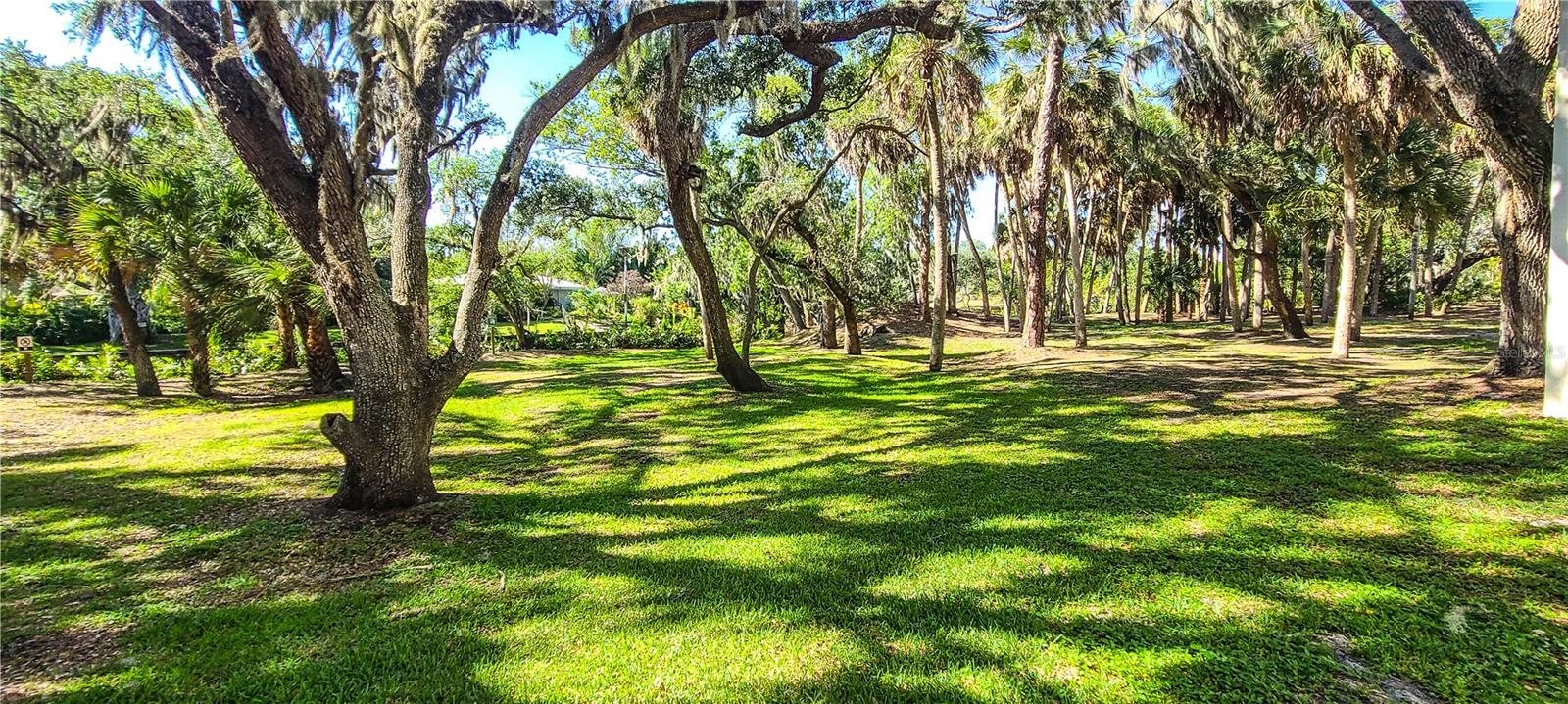 Image 34 of 38 For 2749 Orchid Oaks Drive 302