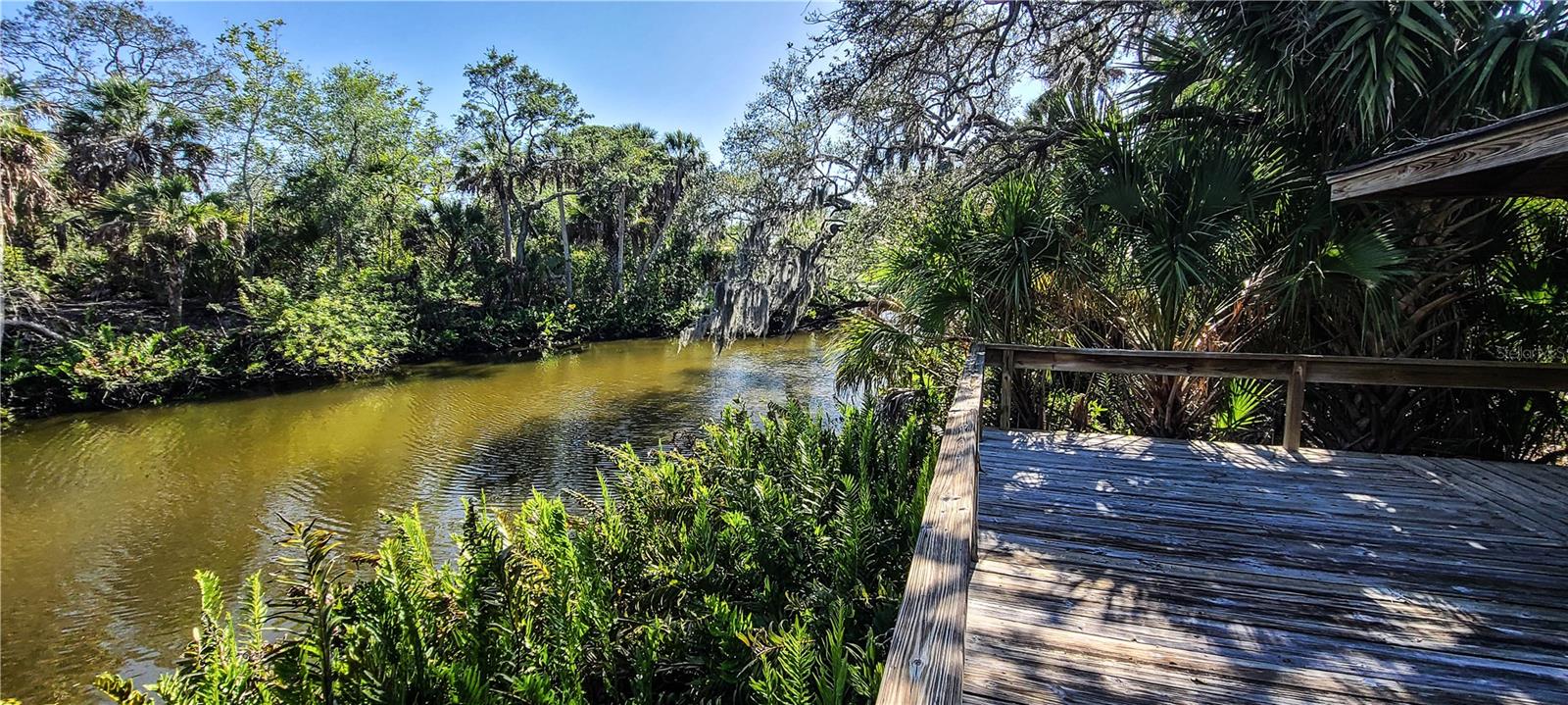 Image 36 of 38 For 2749 Orchid Oaks Drive 302