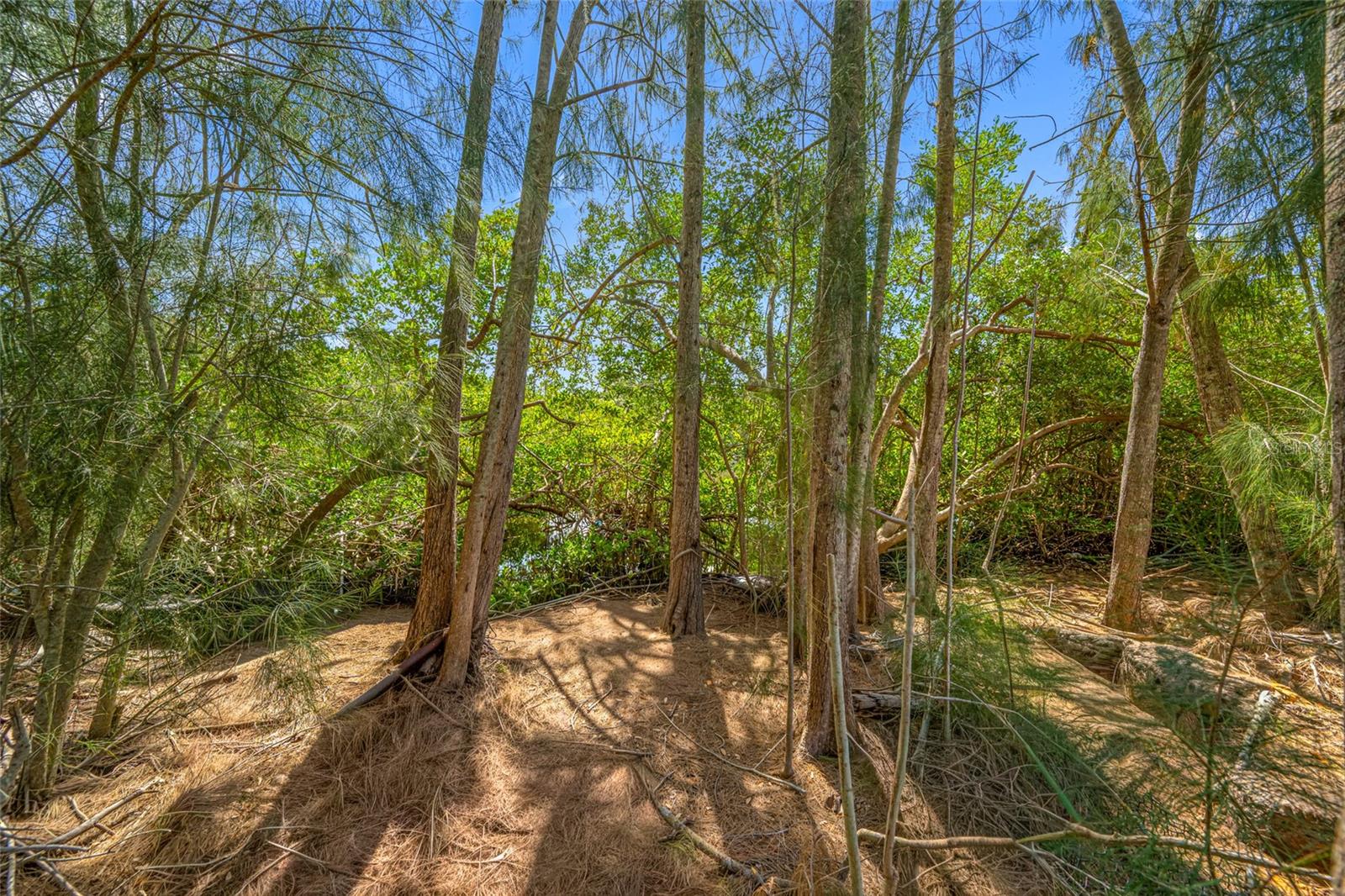Image 35 of 67 For 6908 11th Avenue E