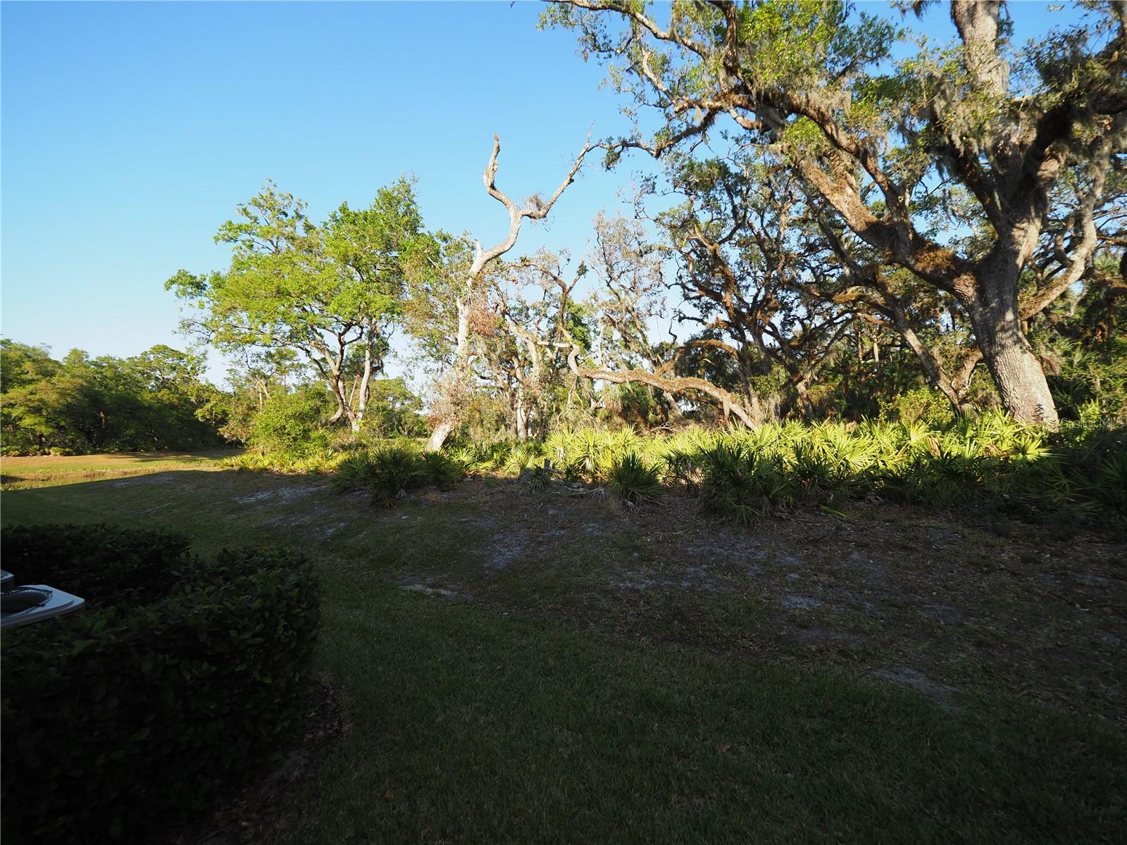 Image 20 of 25 For 2503 Midnight Pearl Drive