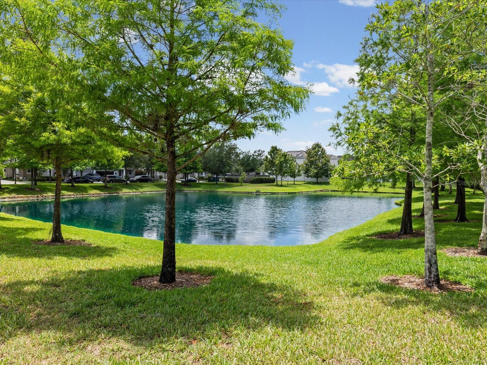 Image 43 of 51 For 7105 Park Tree Drive