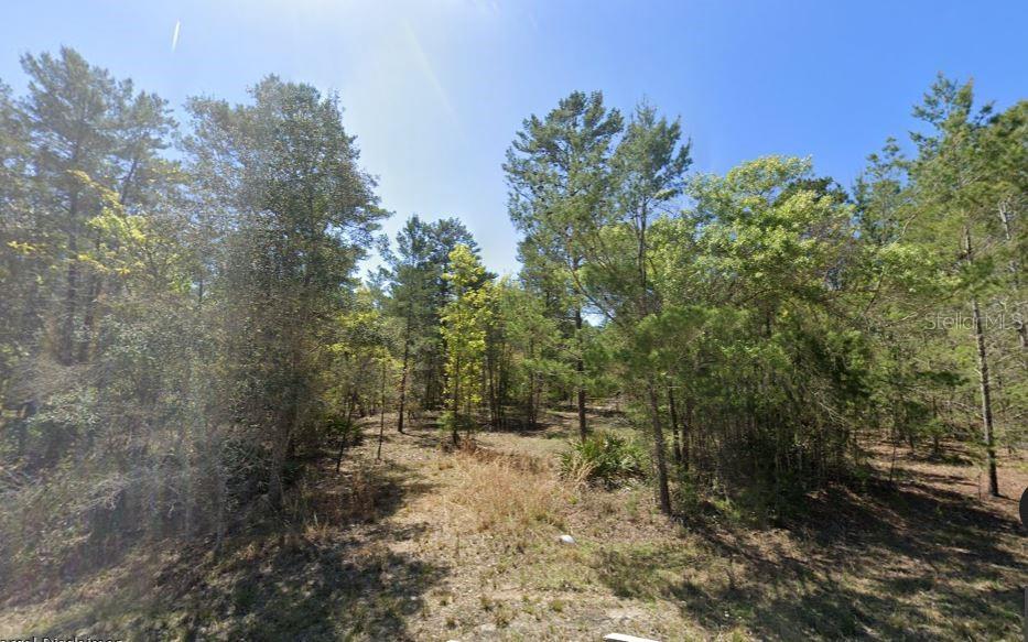 Image 2 of 6 For 835 Deerwood Avenue