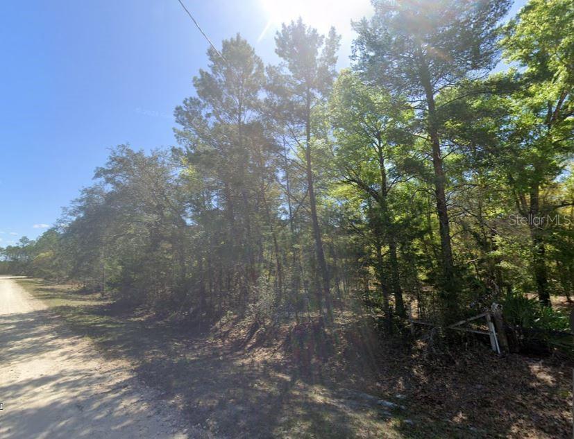 Image 4 of 6 For 835 Deerwood Avenue