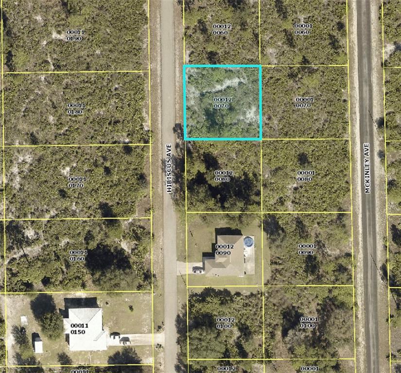 Listing Details for 1610 Hibiscus Avenue, LEHIGH ACRES, FL 33972