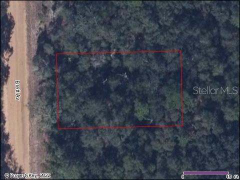 Details for Interlachen Lakes Estates, PALATKA, FL 32178