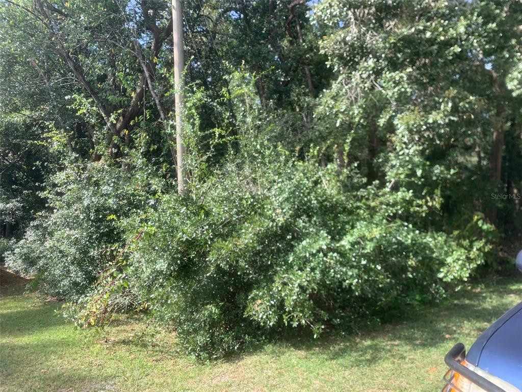 Listing Details for 1370 Homosassa Drive, KISSIMMEE, FL 34759