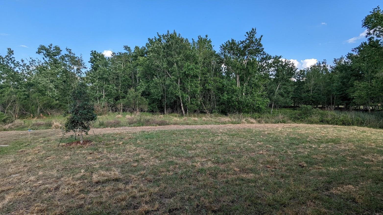 Image 19 of 23 For 3937 Reed Grass Place