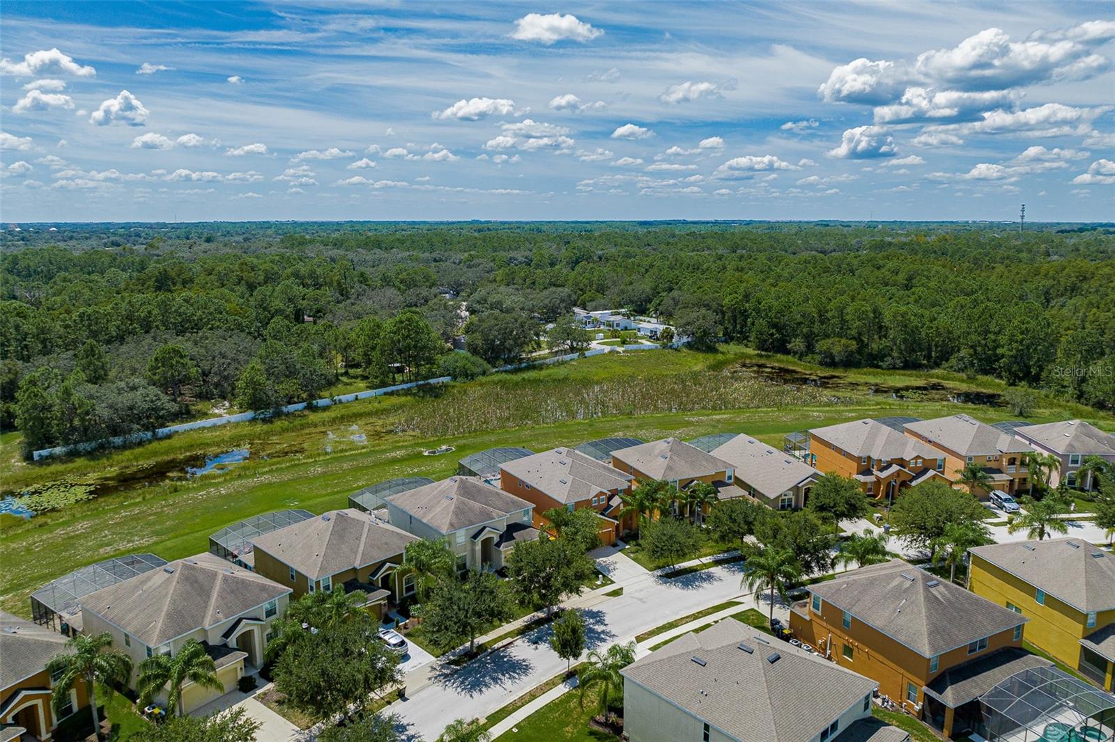 Image 8 of 54 For 691 Orange Cosmos Boulevard