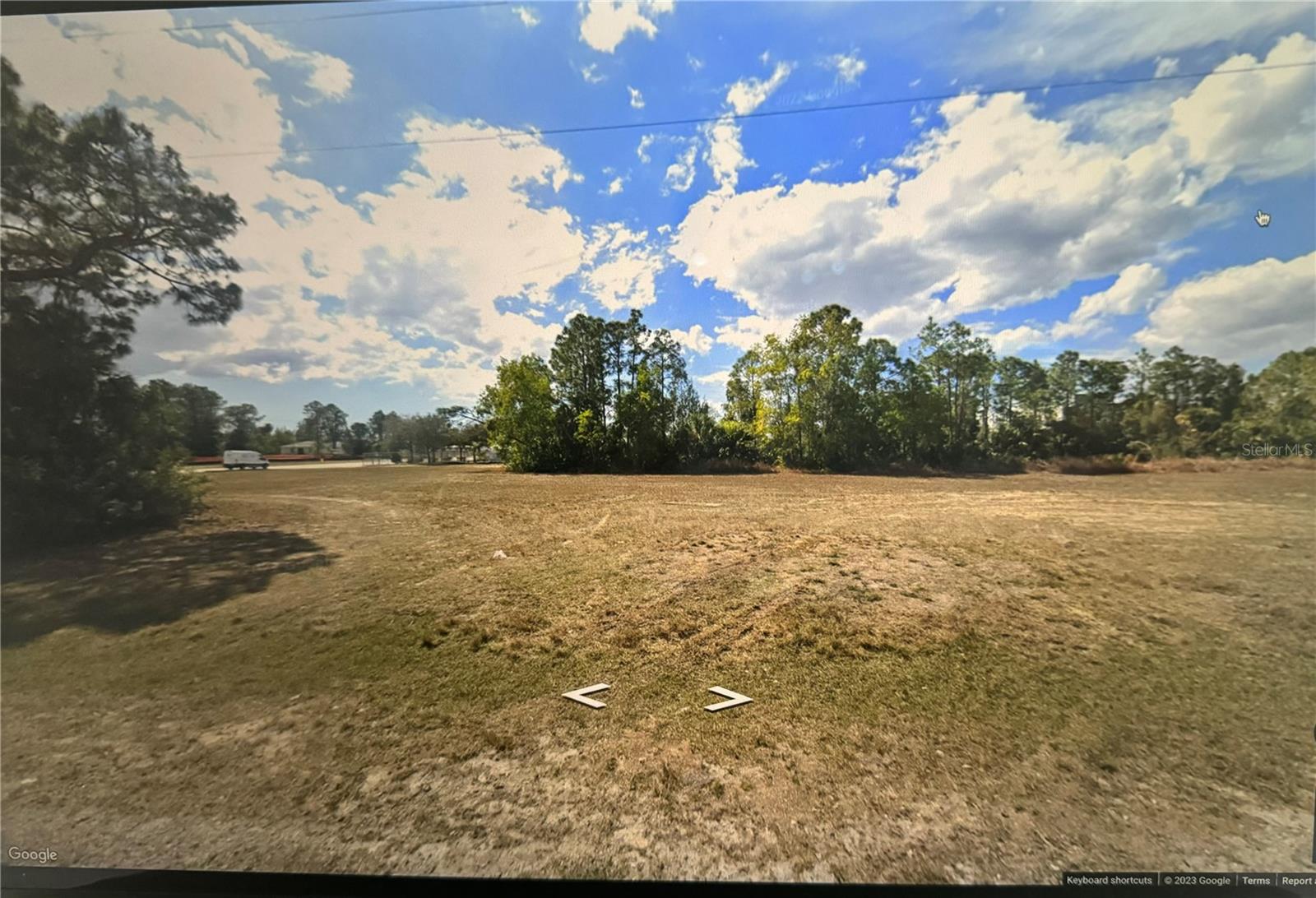 Listing Details for 2229 De Navarra Parkway, CAPE CORAL, FL 33909