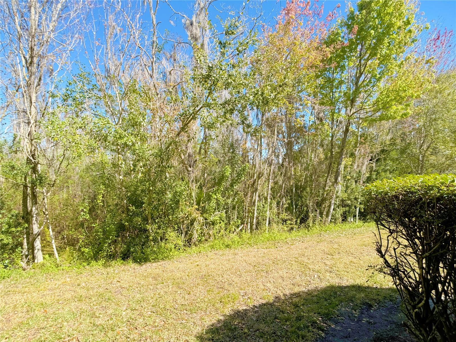 Image 17 of 20 For 2374 Caravelle Circle