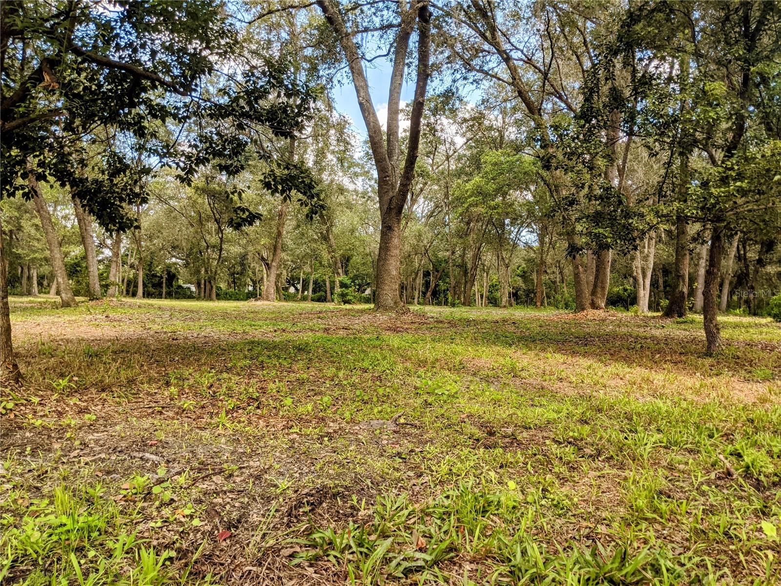 Details for  Wagon Court , SAINT CLOUD, FL 34772