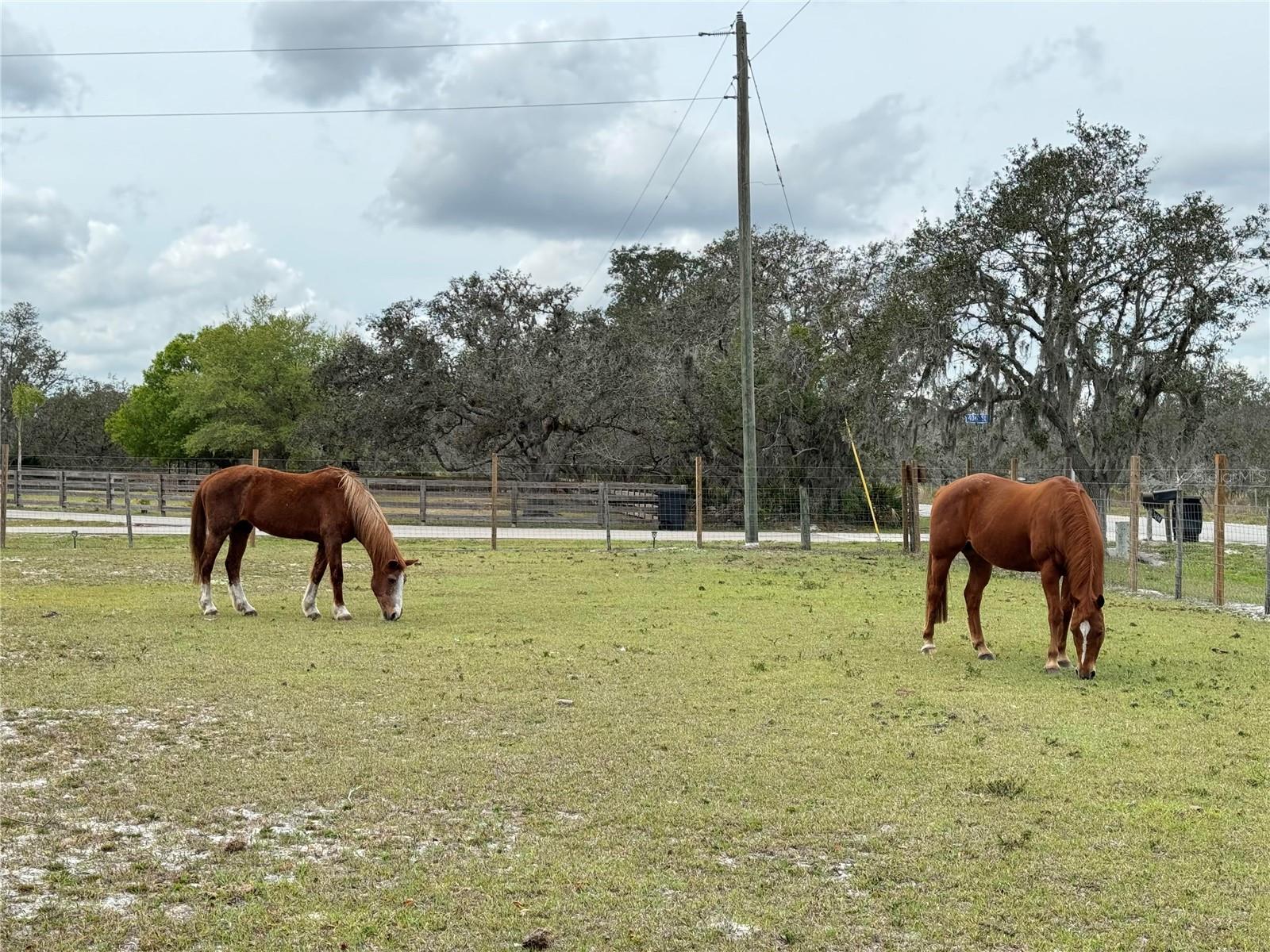 Image 48 of 54 For 40610 State Road 64 E