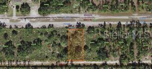 Details for 0 Tropicana Drive, INDIAN LAKE ESTATES, FL 33855