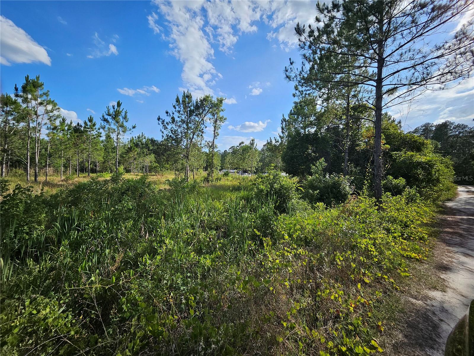 Details for  Sr 33  , CLERMONT, FL 34714
