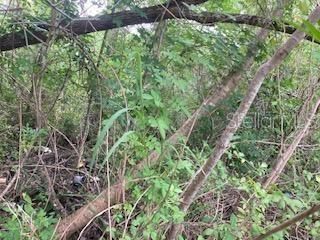Listing Details for Holopaw Groves Road, SAINT CLOUD, FL 34773