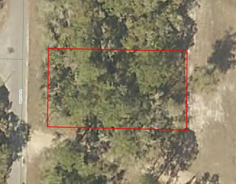 Details for Sequoia Drive, OCKLAWAHA, FL 32179