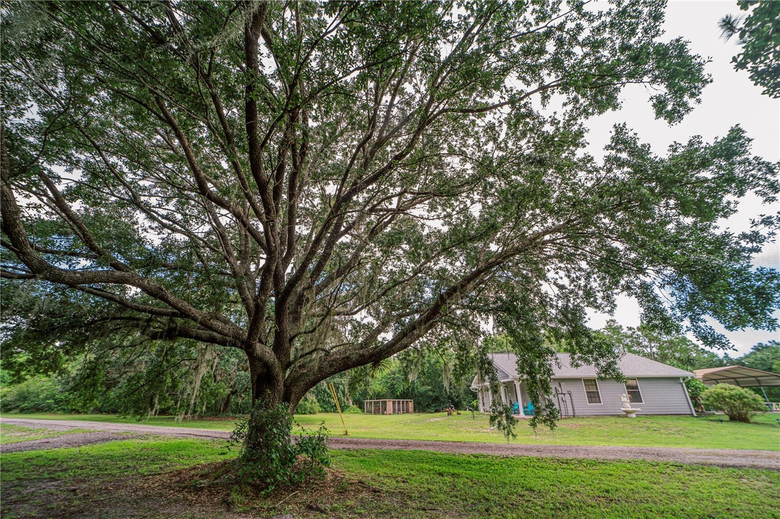 Image 19 of 27 For 4605 Cypress Creek Ranch Road