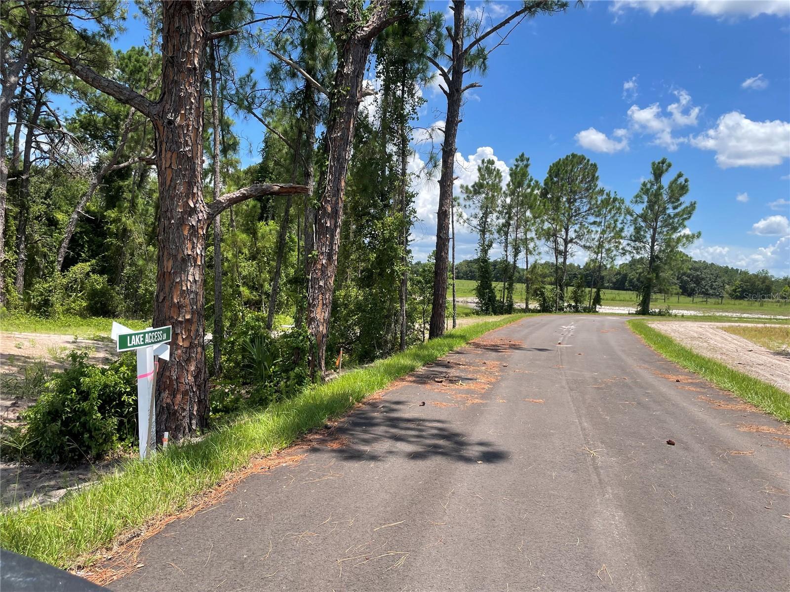 Image 9 of 19 For 38529 Wooded Meadow Drive