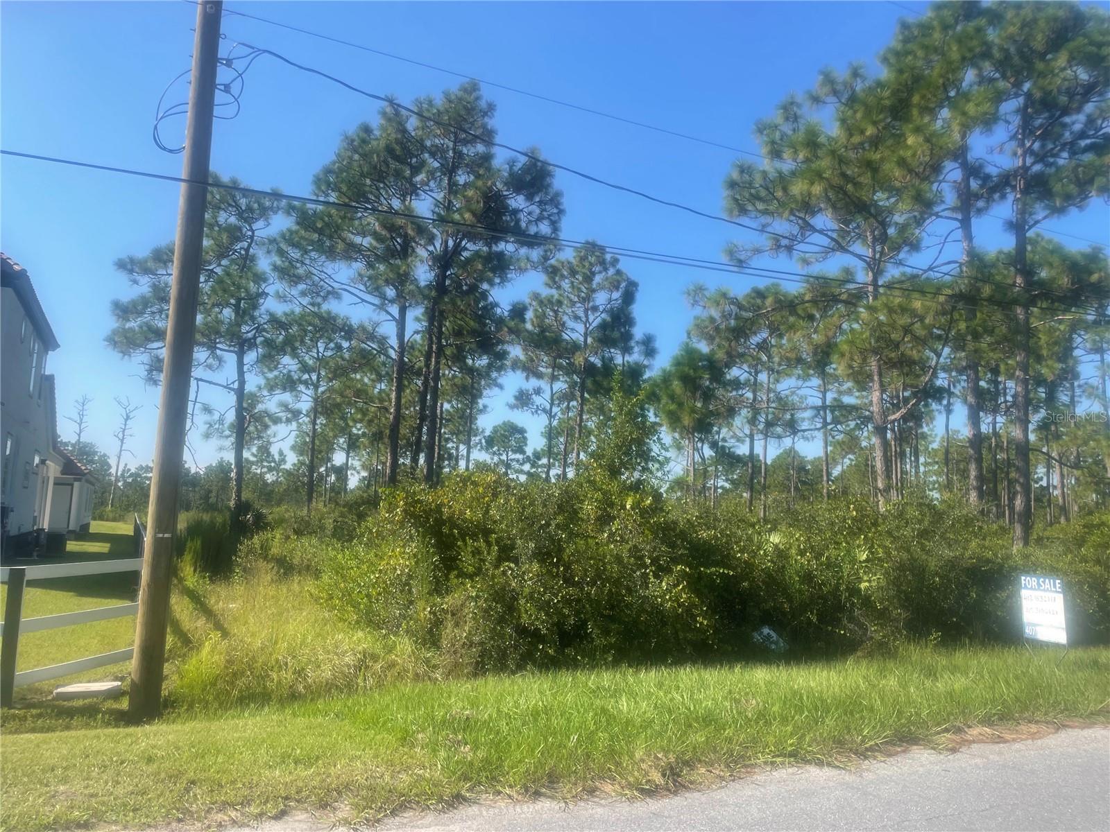 Image 4 of 4 For Lot 700-703 Sabal Street