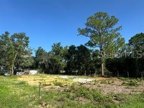 Details for Lake Marion Creek Road, HAINES CITY, FL 33844