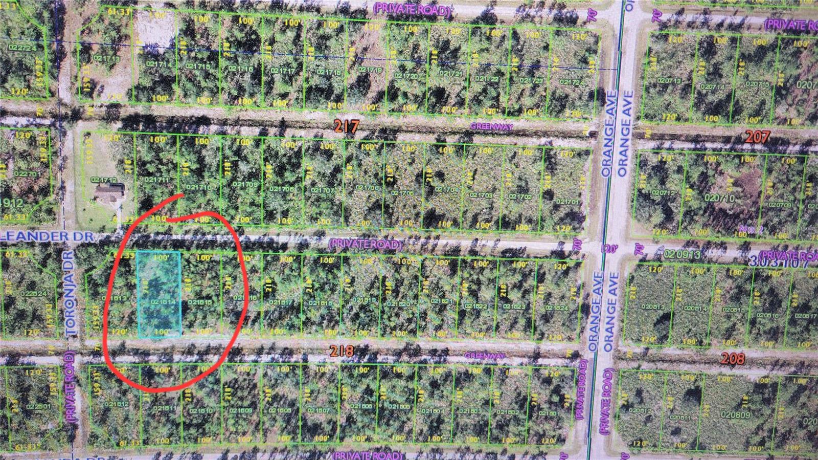 Image 4 of 6 For Oleander Drive