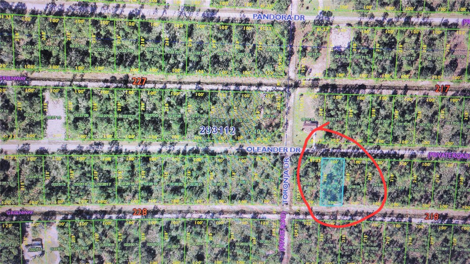 Image 5 of 6 For Oleander Drive