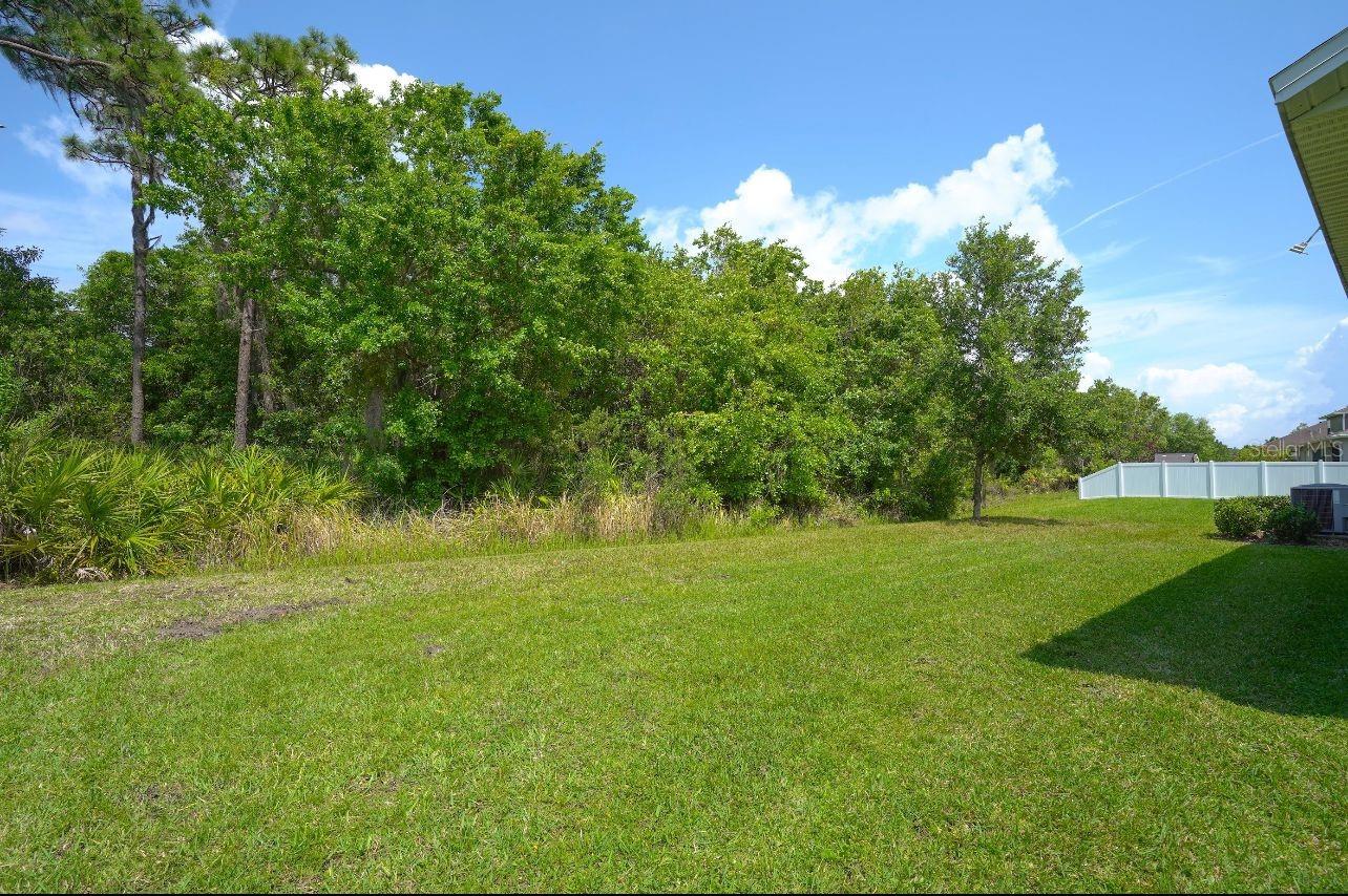 Image 6 of 29 For 2461 Marshfield Preserve Way