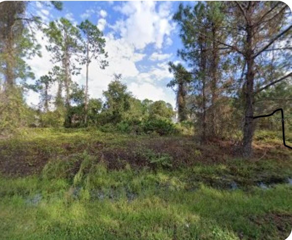Details for 1223 Wahneta Drive, KISSIMMEE, FL 34759