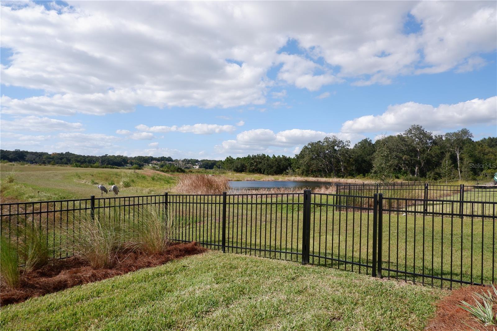 Image 8 of 34 For 1874 Terrapin Road