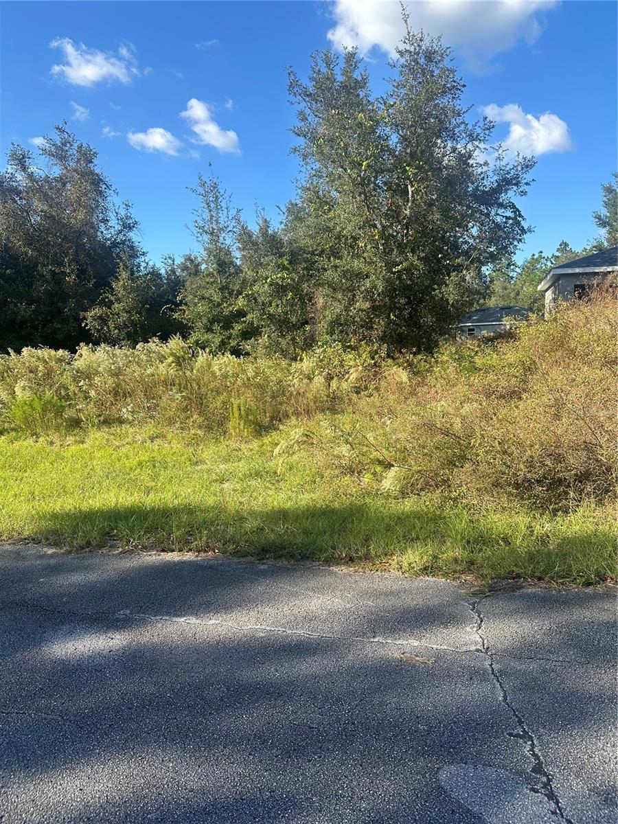 Details for Undetermined Circle, DUNNELLON, FL 34432