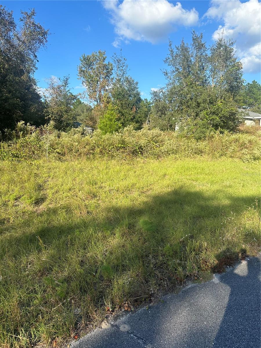 Details for Undetermined Road, DUNNELLON, FL 34432