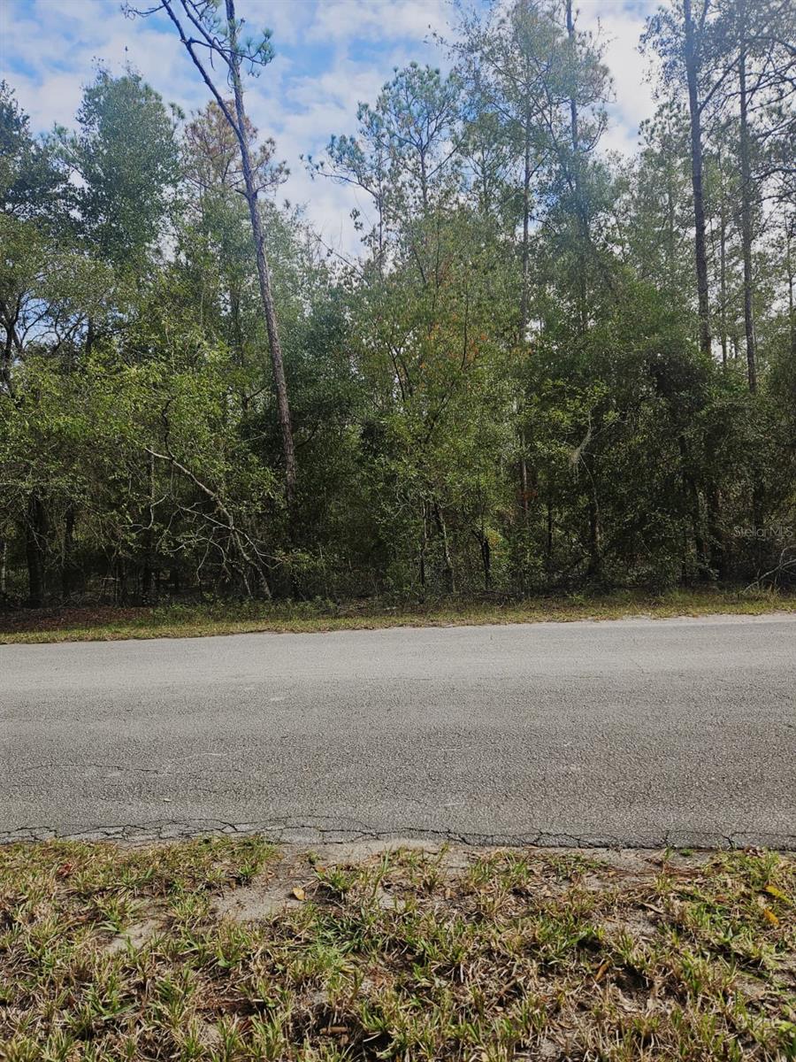 Image 10 of 11 For Southwest 206th Court Rd