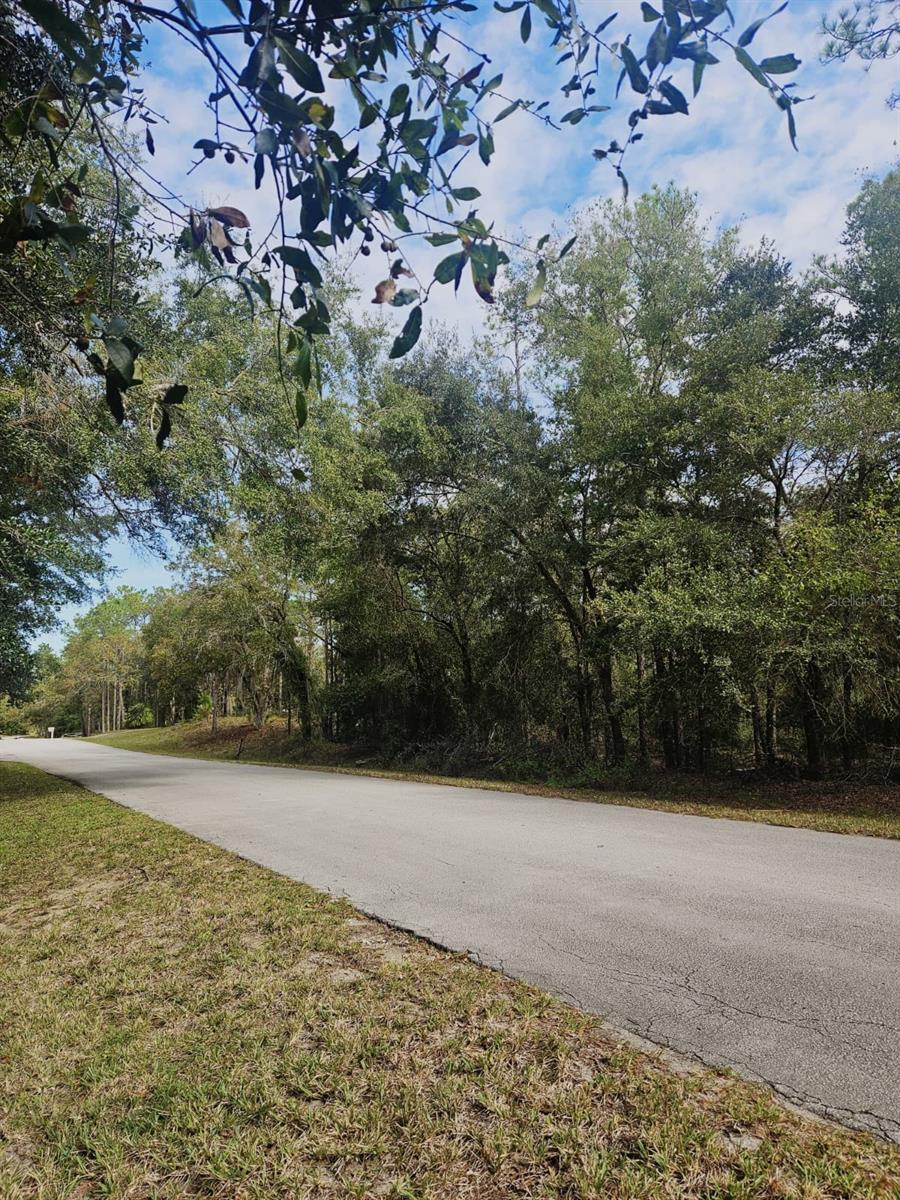 Image 11 of 11 For Southwest 206th Court Rd