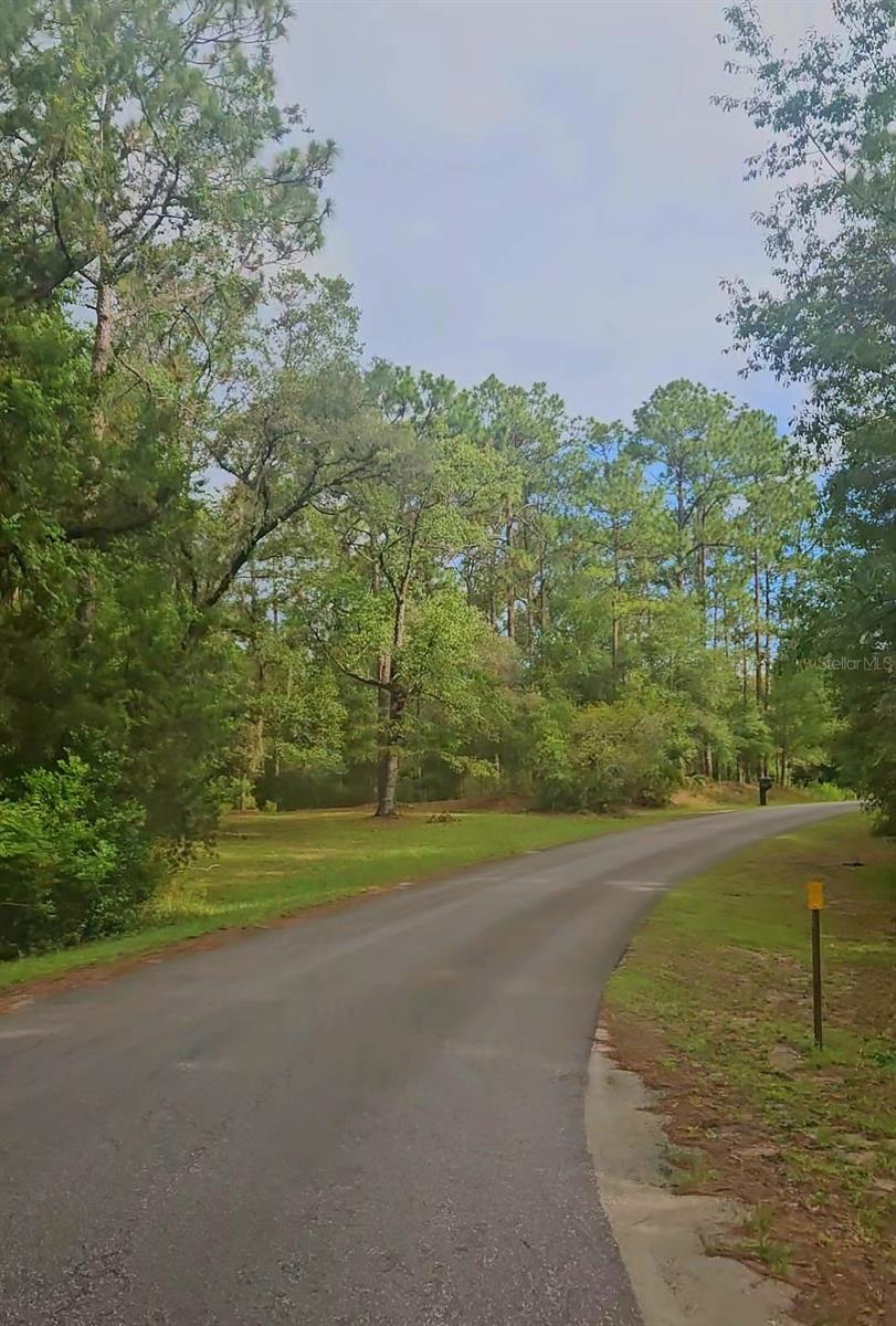 Image 5 of 7 For Sw 213th Ter Rd