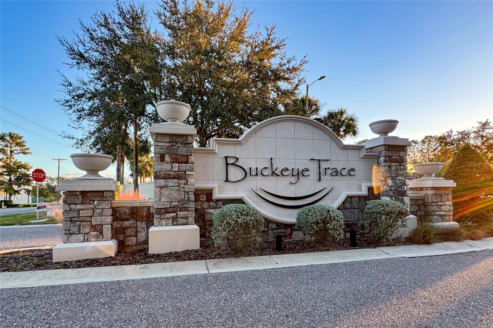 Image 4 of 40 For 1383 Buckeye Trace Boulevard