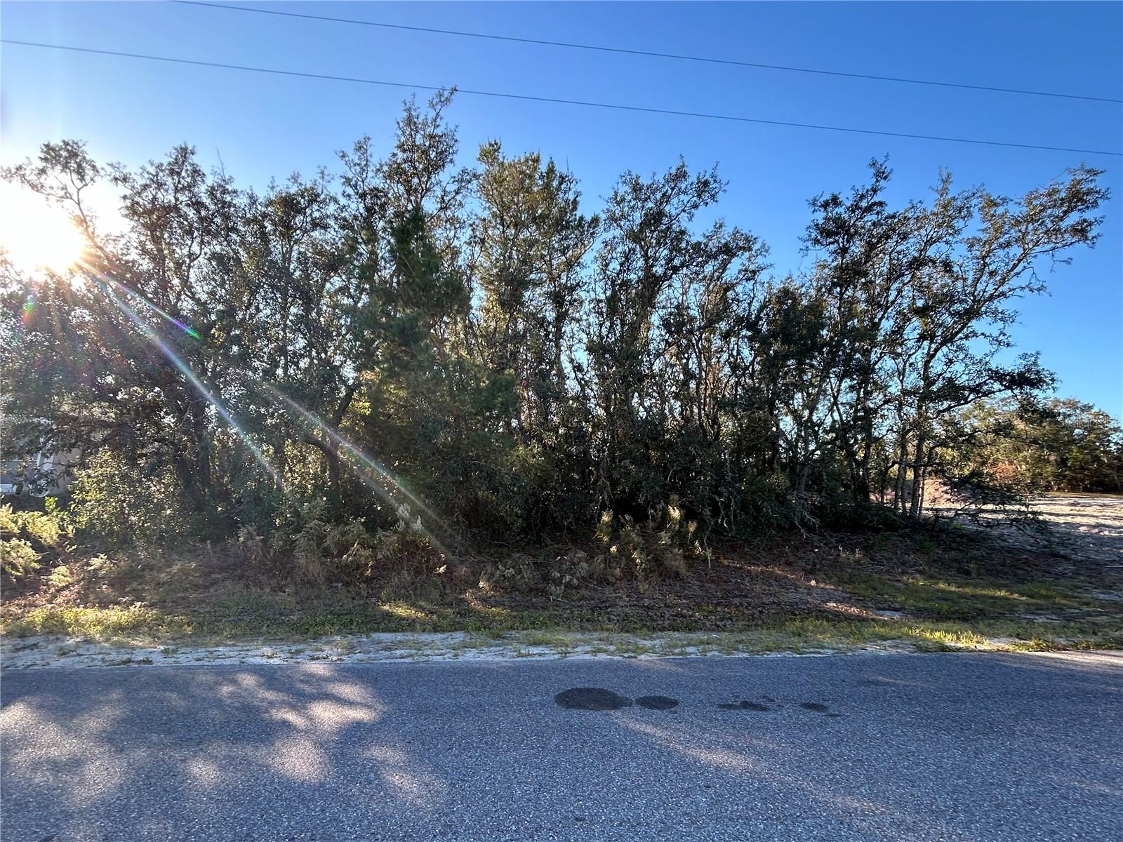 Details for 0 Amero Lane 13, Spring Hill, FL 34609