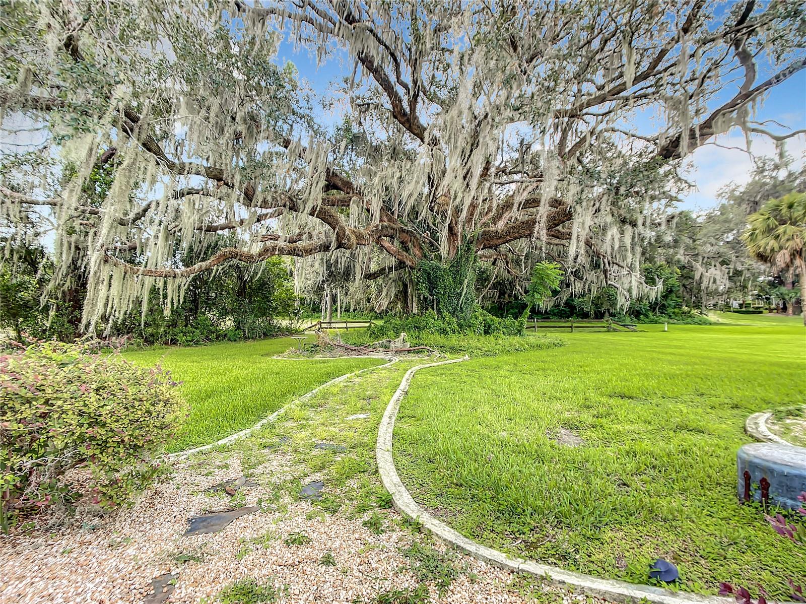 Listing photo id 60 for 1281 Timucuan Trail